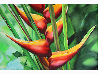 Heliconia VIII by Kathleen Alexander