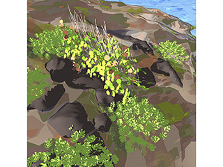 Lanai Lookout study no.239 by Stephen Yuen