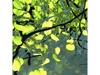 Hau and Water Study no.120 by Stephen Yuen