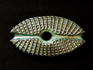 #114 Diatom C by Christopher Edwards