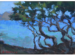 Monkeypod Trees in Lanikai by Suzanne  Barnes