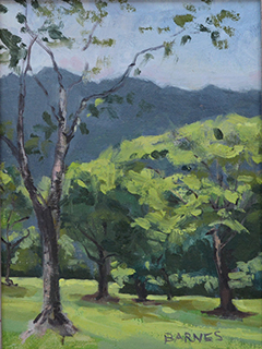 Light Through the Trees by Suzanne  Barnes