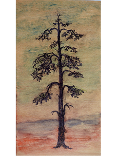 Cedar II by Rebecca Horne