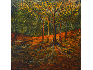 Hidden Life of Trees by Anna Marie Sheehan