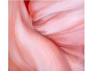 Bloom #2 by Ruth Sorensen