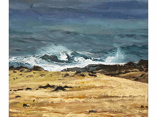 Maui Coast 2 by Erin Marquez