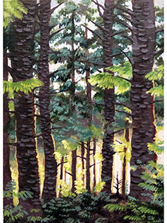Wood by Ember  Hirata