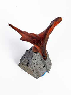 Flight by Jerry Vasconcellos