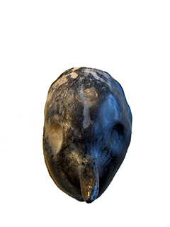 Bird Mask  #4 by Kimberly De Souza