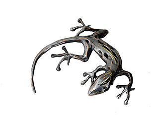 Gecko by Clyde K. Oishi