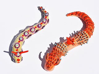 Nudibranch   by Kimberly De Souza