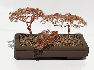 Bonsai - 3 Trees by Matthew  Youngbird