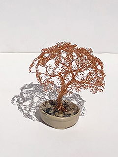 Bonsai - 1 Tree (b) by Matthew  Youngbird