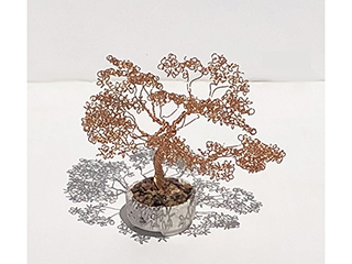 Bonsai - 1 Tree (c) by Matthew  Youngbird