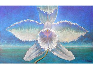 Evening Orchid by Russell Lowrey