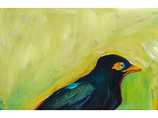 Mynah #4 by Neida Bangerter