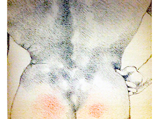 Peek-A-Boy Series: 