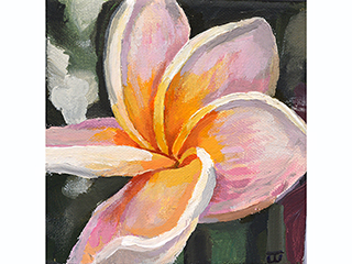 Plumeria by Julian  Coffee