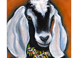 Bonnie by Catherine Cranford
