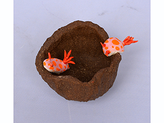 Chromodoris Lovers Chase by Kimberly De Souza