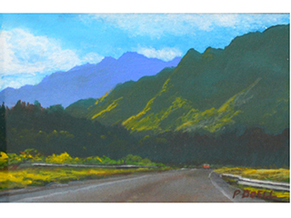 Kahalu'u by Patrick Doell