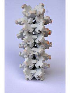 Vertebra by Rae Douglass