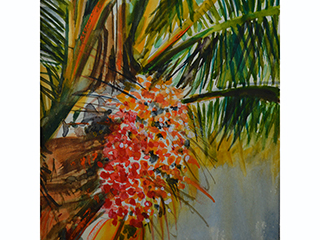 Red Seeds by Jimmy Tablante