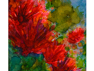 Ohia Lehua by JoAnna   Maney