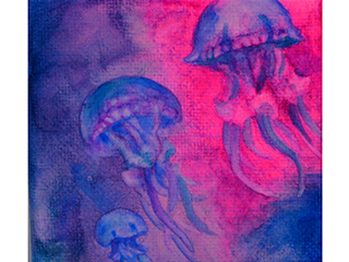Sea Jellies by JoAnna   Maney