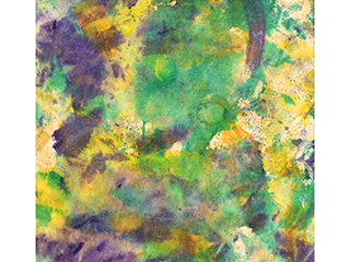 Rain Forest Haiku, Maui by Carrie  Matsumoto