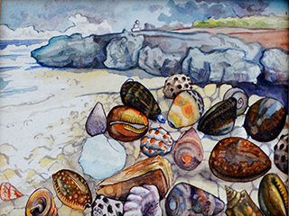 Shells in the Heat by Jessica Orfe