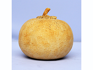 Fantasy Fruit by Dawn  Yoshimura