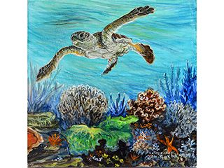 Baby Honu by Esperance Rakotonirina
