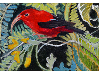Illuminated Iiwi by Wendy Roberts
