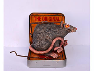 The Rat In My Kitchen by Lynn Weiler Liverton