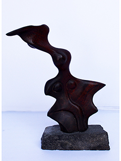 Facial Figure by Jerry Vasconcellos