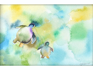 Honu by Jackie Anderson