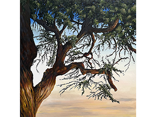 Keawe by Sandra Blazel
