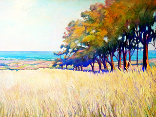 Waialua Sentinels by Warren Stenberg