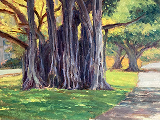 Ala Moana Banyan Tree by Fred  Salmon