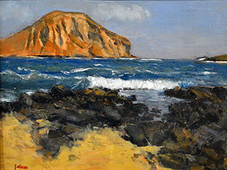 Rabbit Island by Fred  Salmon
