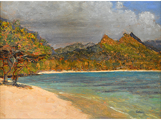 Waimanalo Beach by Fred  Salmon