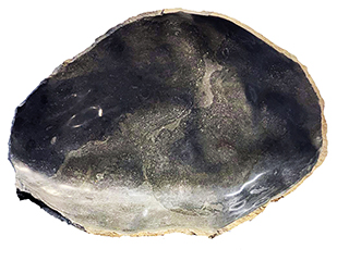 Clam Shell Bowl by Don Matsumura