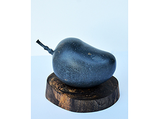 Mango with Stem by Don Matsumura