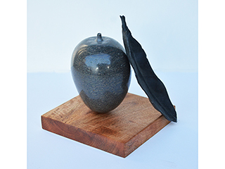 Mango with Leaf by Don Matsumura